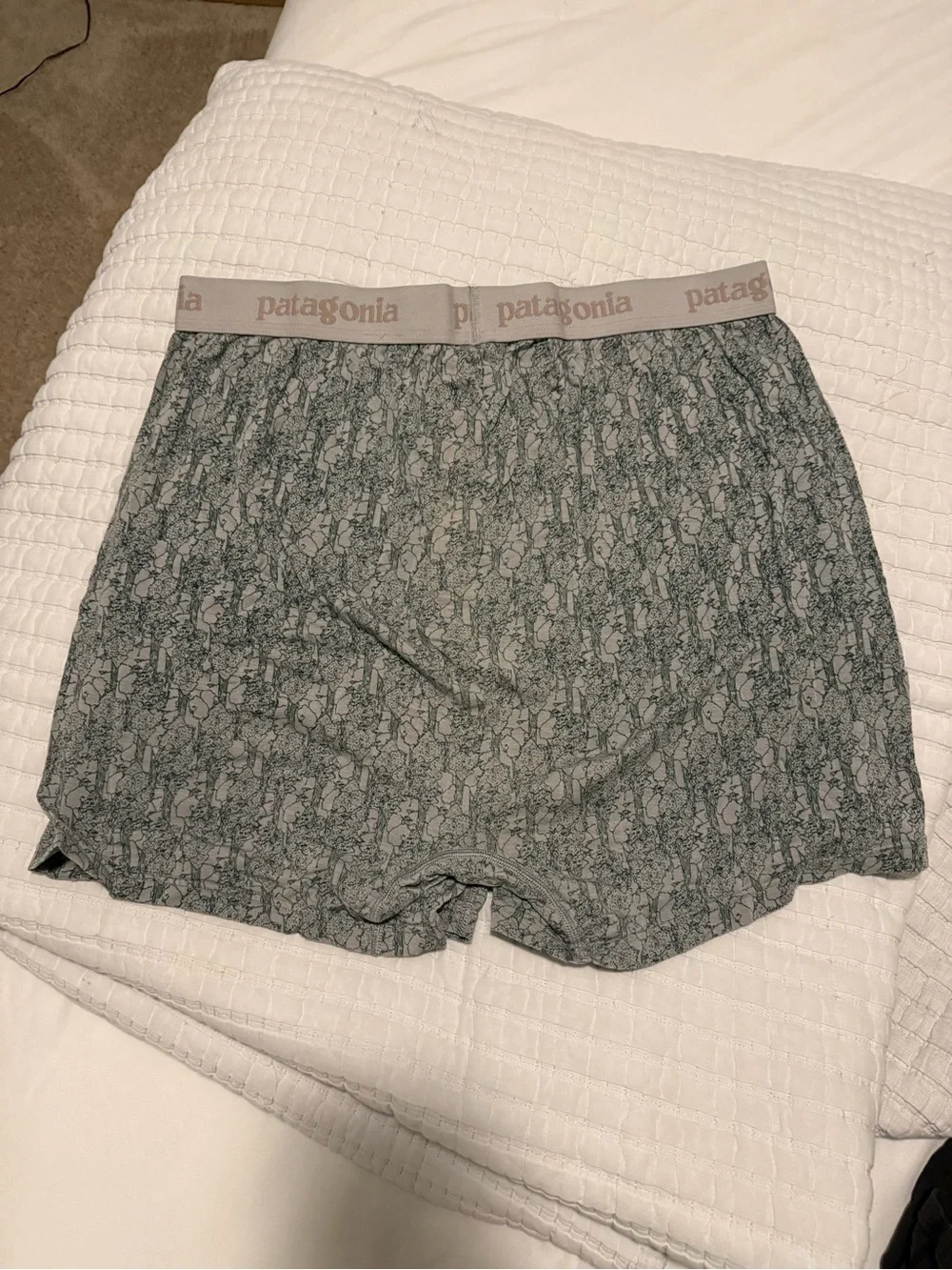 Patagonia Green/Gray Logo Briefs - Picture 2 of 3